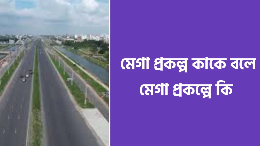 মেগা প্রকল্প কাকে বলে।মেগা প্রকল্প কি ও মেগা প্রকল্পের বাজেট কত মেগা প্রকল্প কাকে বলে