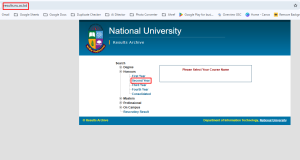 Honor's 2nd year Result 2025