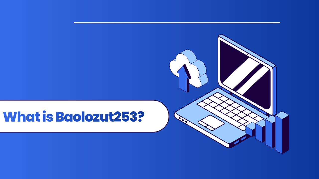 What is Baolozut253 Image.png