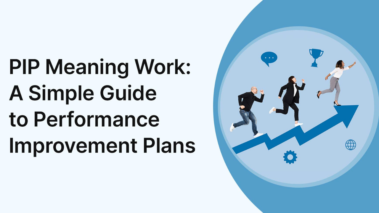 PIP Implementation Process